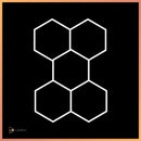 Hexagon 5