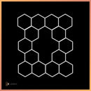 Hexagon 14