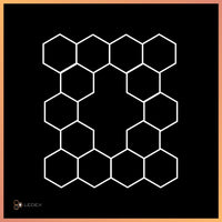 Hexagon 14