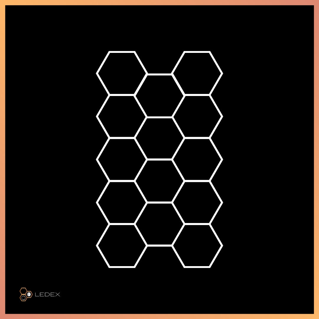 Hexagon 19