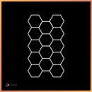 Hexagon 19