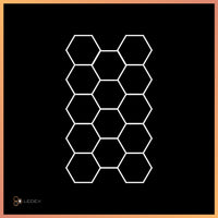 Hexagon 19