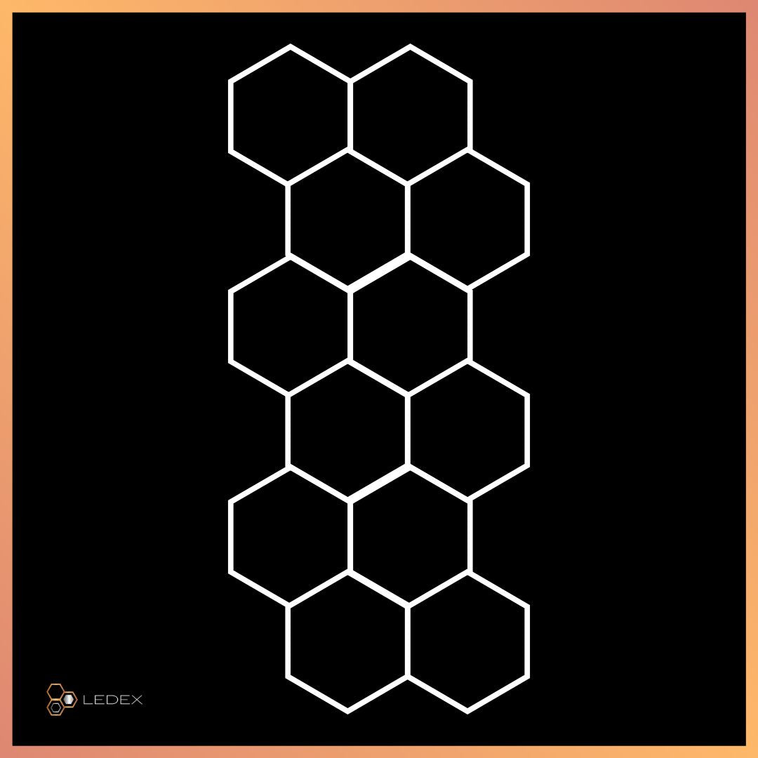 Hexagon 12